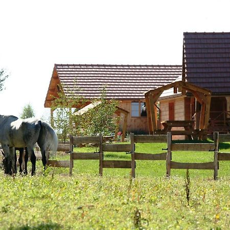 Villa Le Hameau Des Grilles Saint-Fargeau  Exterior foto