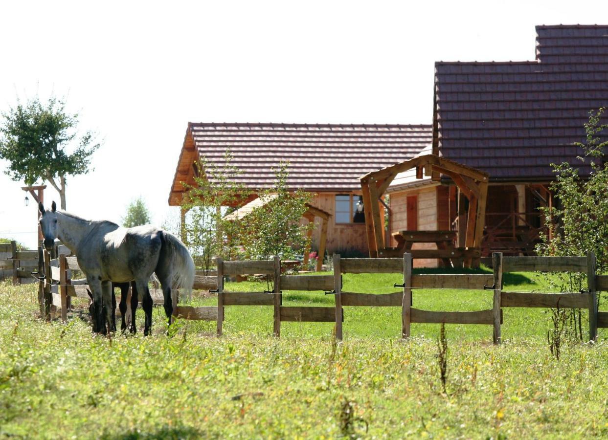 Villa Le Hameau Des Grilles Saint-Fargeau  Exterior foto